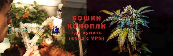 индика Билибино