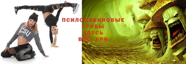 a pvp Алзамай